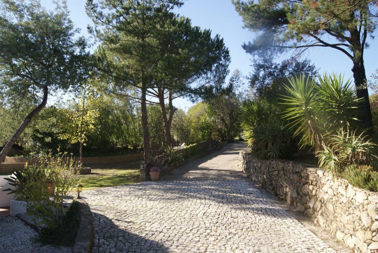Villa Casa Do Vale Sao Pedro de Tomar Esterno foto