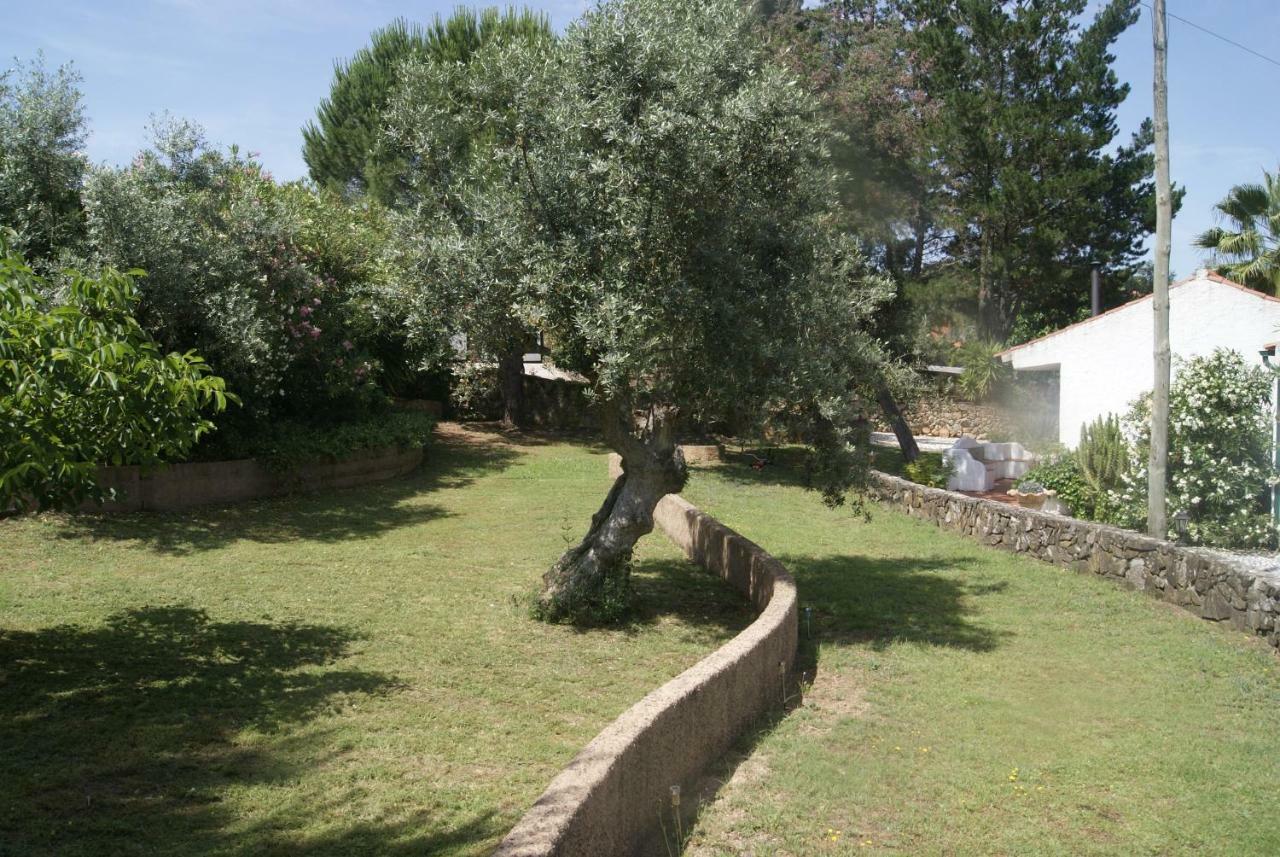 Villa Casa Do Vale Sao Pedro de Tomar Esterno foto